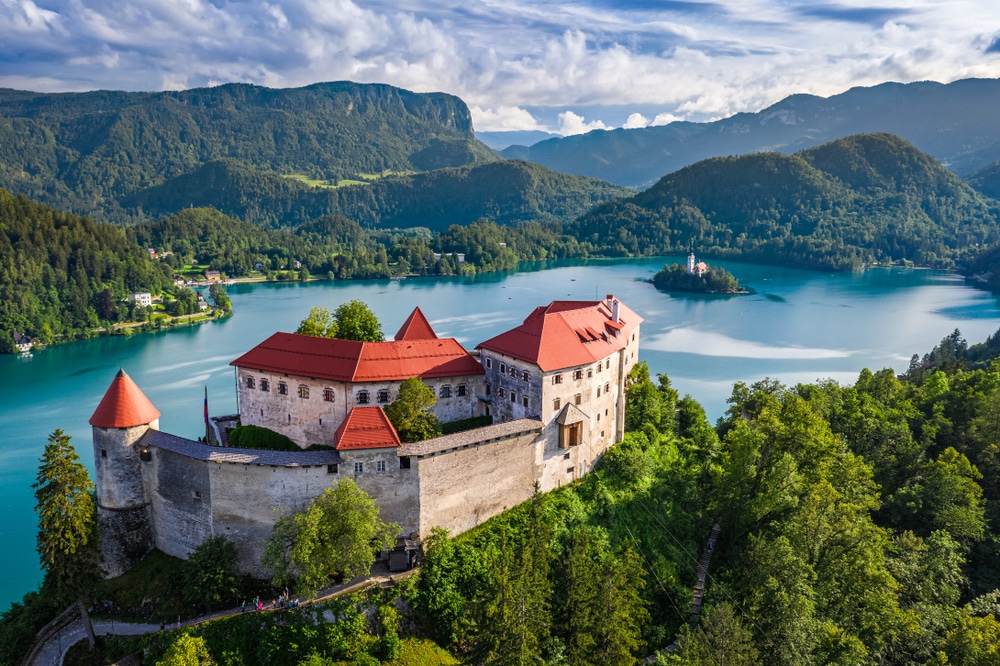 conference, mice, castle slovenia
